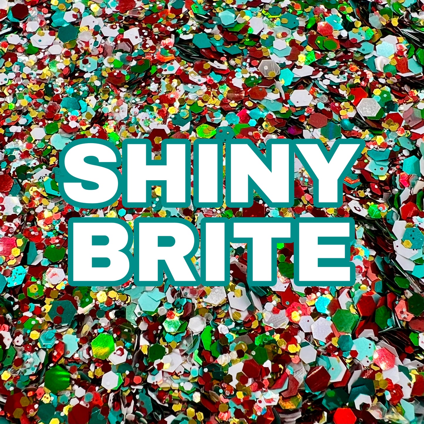 Shiny Brite DGH Custom