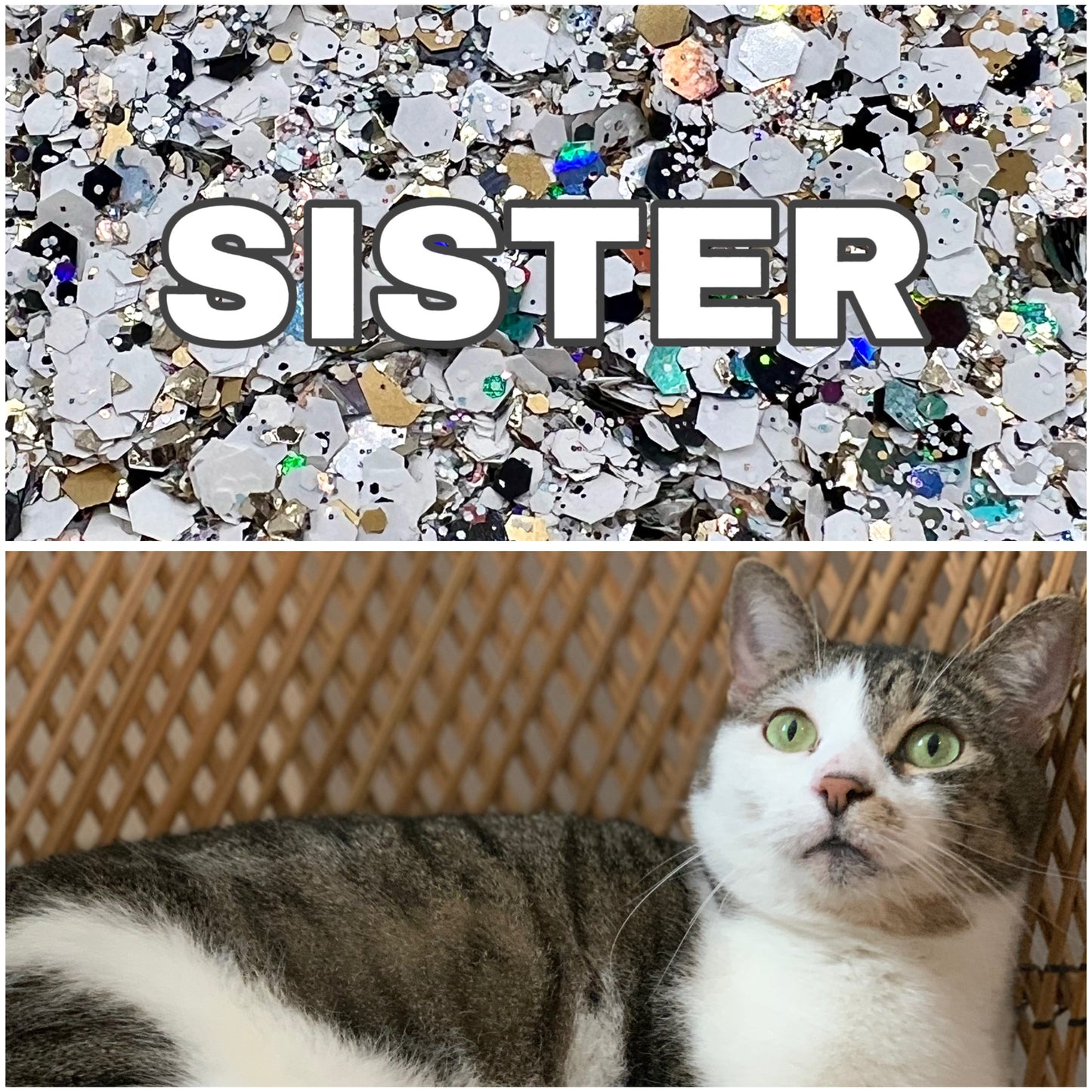 Sister DGH Custom