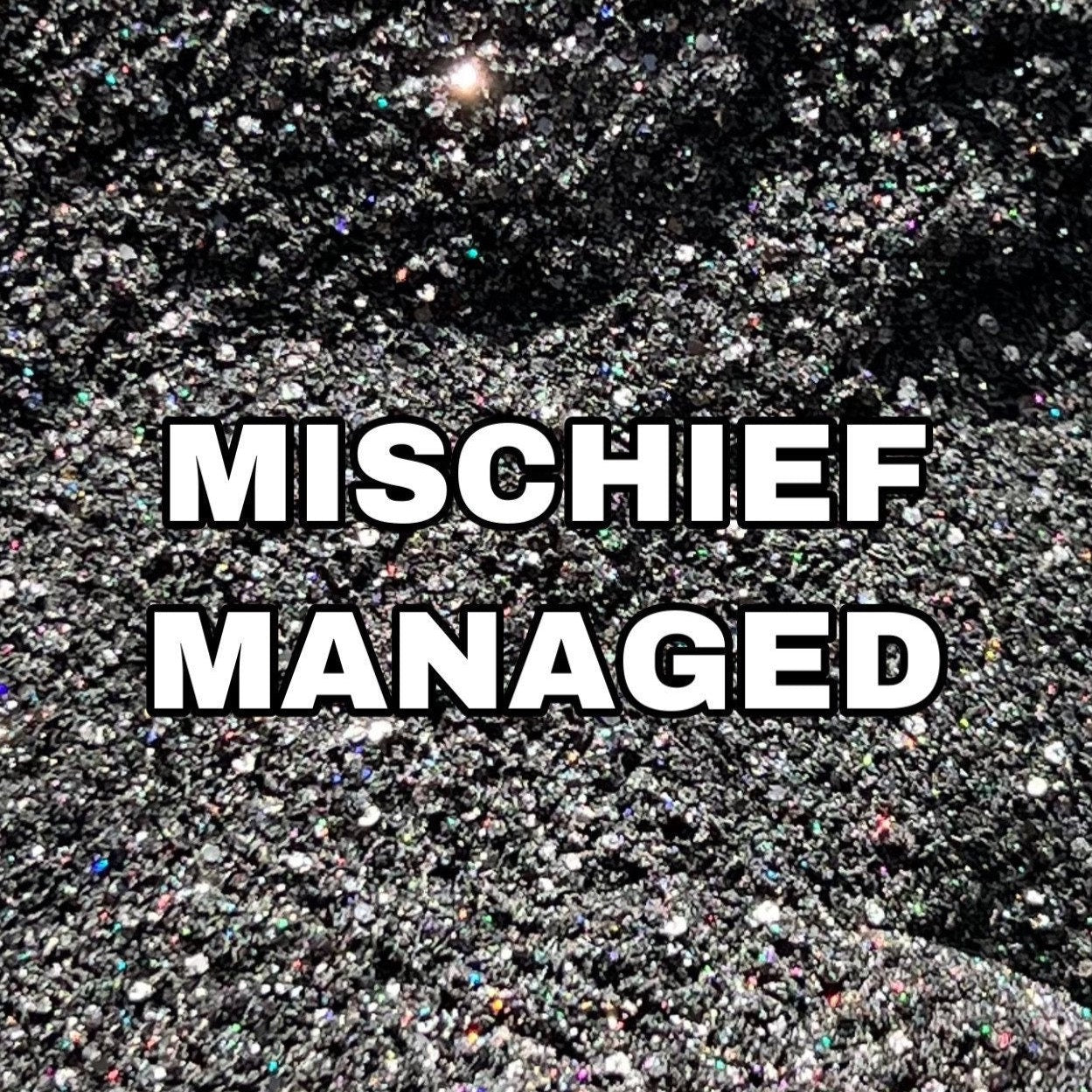 Mischief Managed DGH Custom